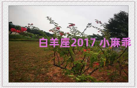 白羊座2017 小麻乖